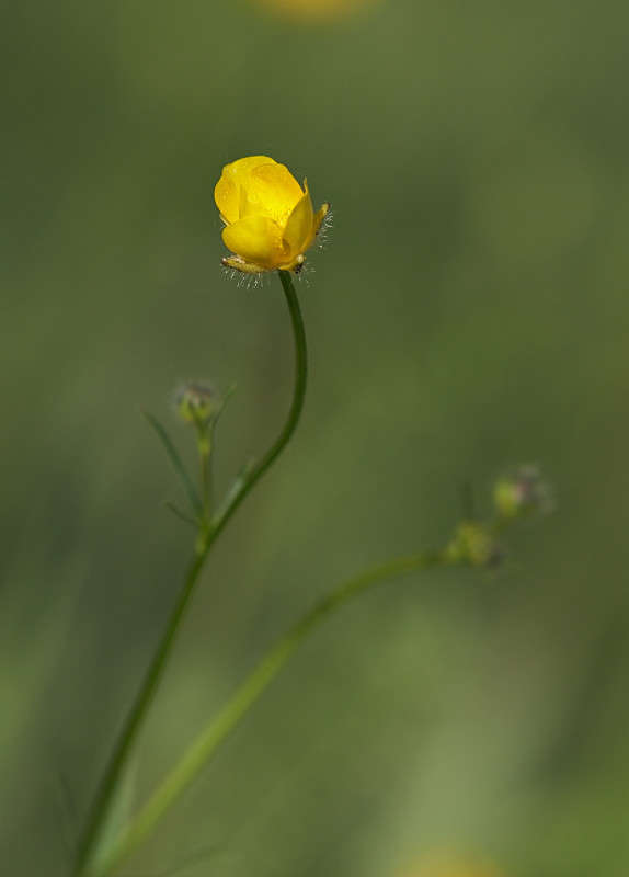 ... ����� ������� ���� �� PhotoGeek.ru #������ ��� �������