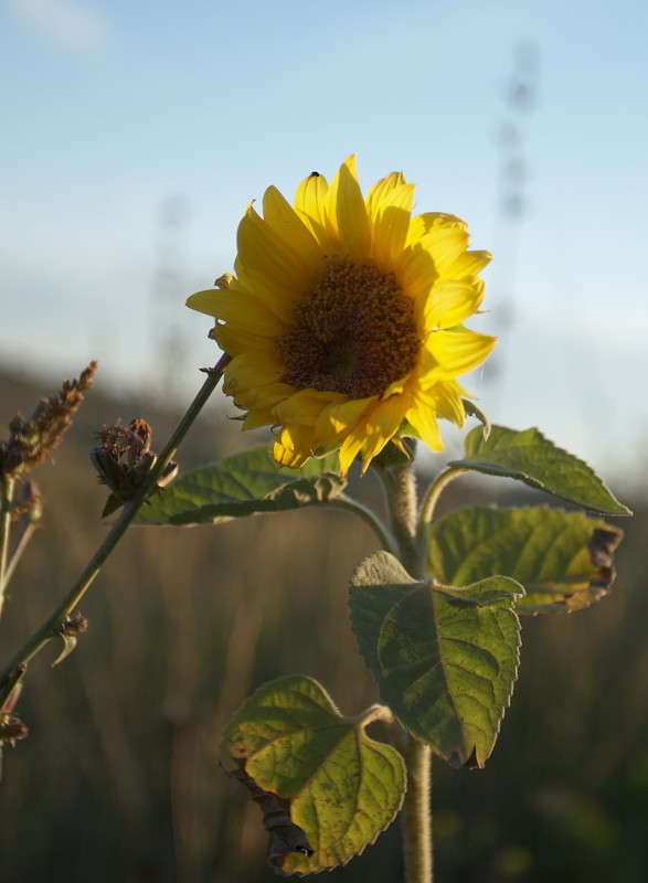 ... ����� ������� ���� �� PhotoGeek.ru #������ ��� �������