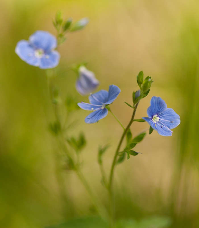 ... ����� ������� ���� �� PhotoGeek.ru #������ ��� �������