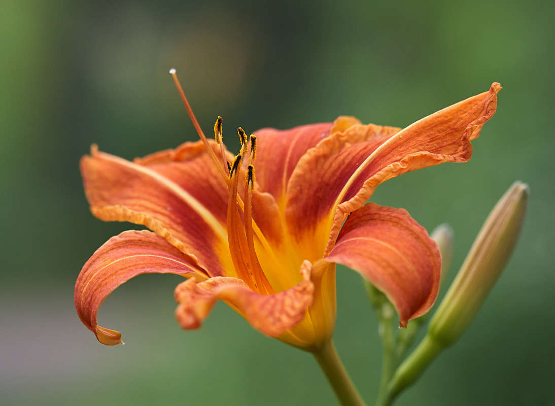 ... ����� ������� ���� �� PhotoGeek.ru #������ ��� �������