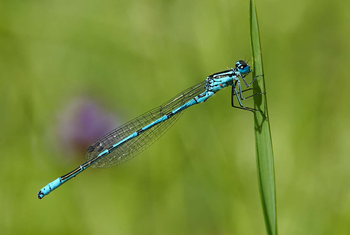 ... ����� ������� ���� �� PhotoGeek.ru #����� #�������� ���