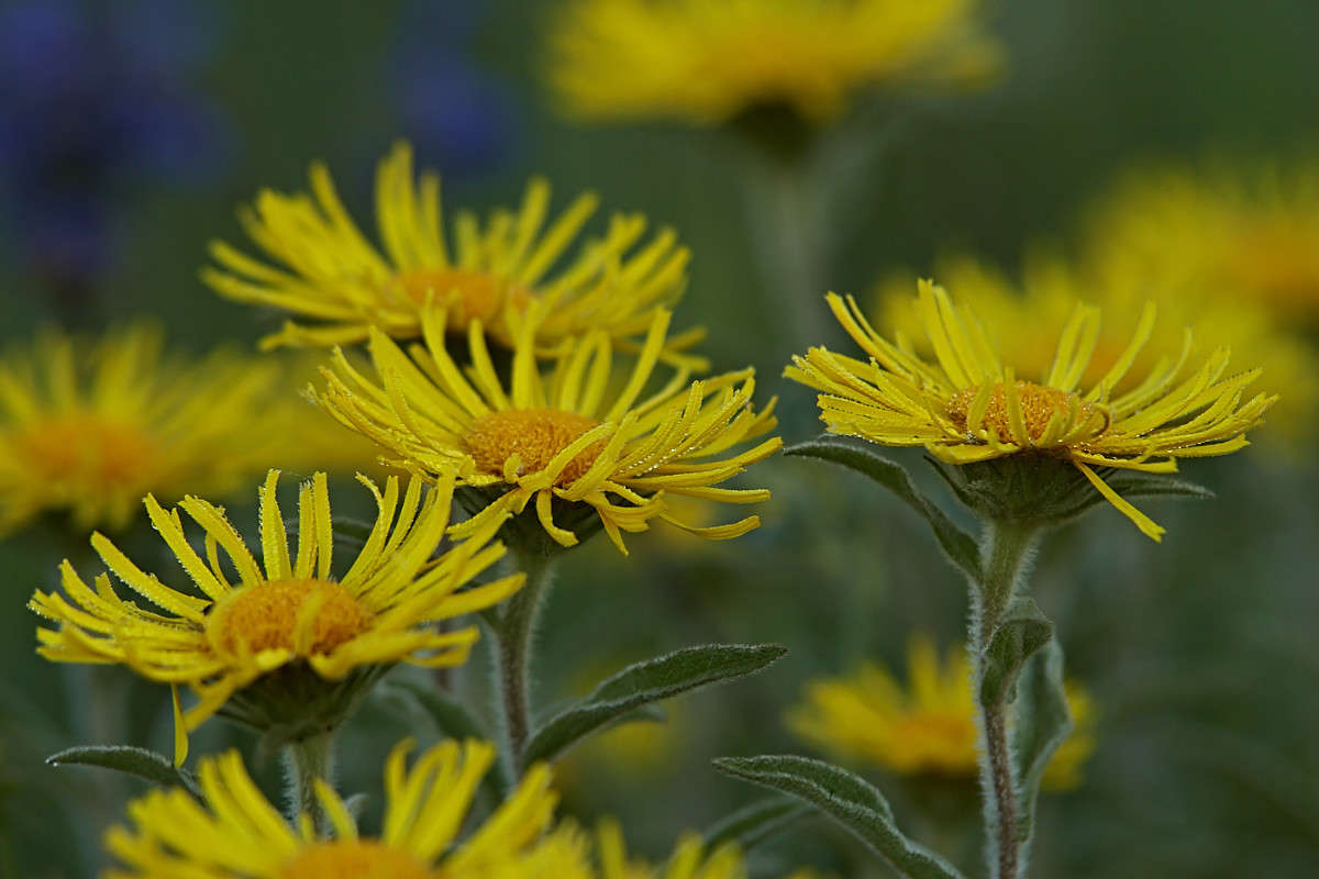 ... ����� ������� ���� �� PhotoGeek.ru #������ ��� �������