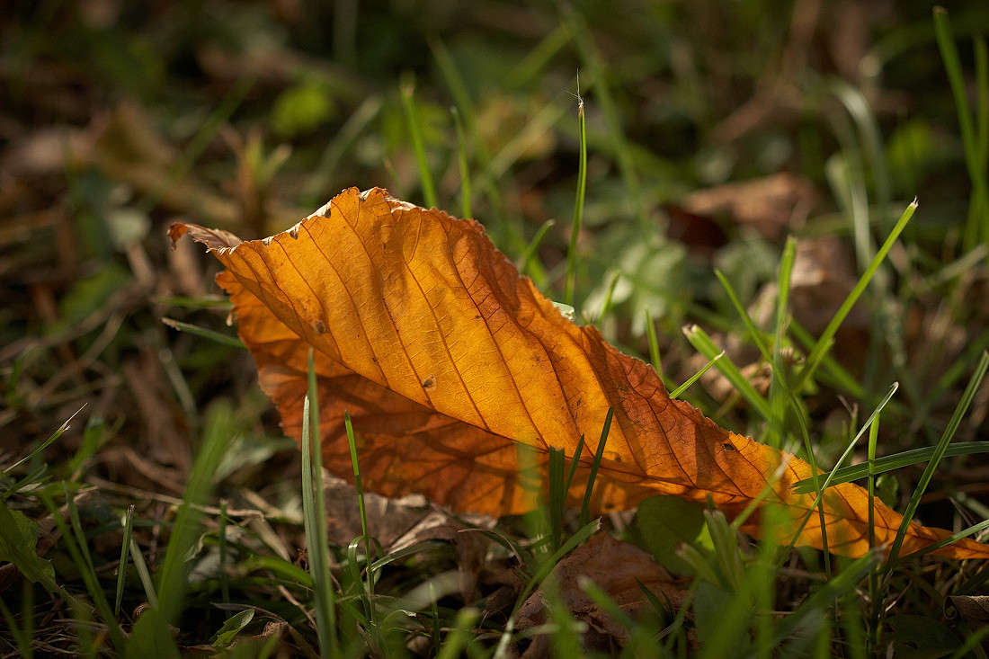 "�����" ����� ������� ���� �� PhotoGeek.ru #������ ��� �������