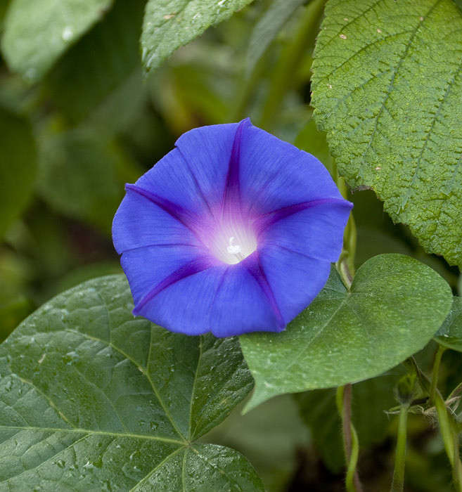 ... ����� ������� ���� �� PhotoGeek.ru #������ ��� �������