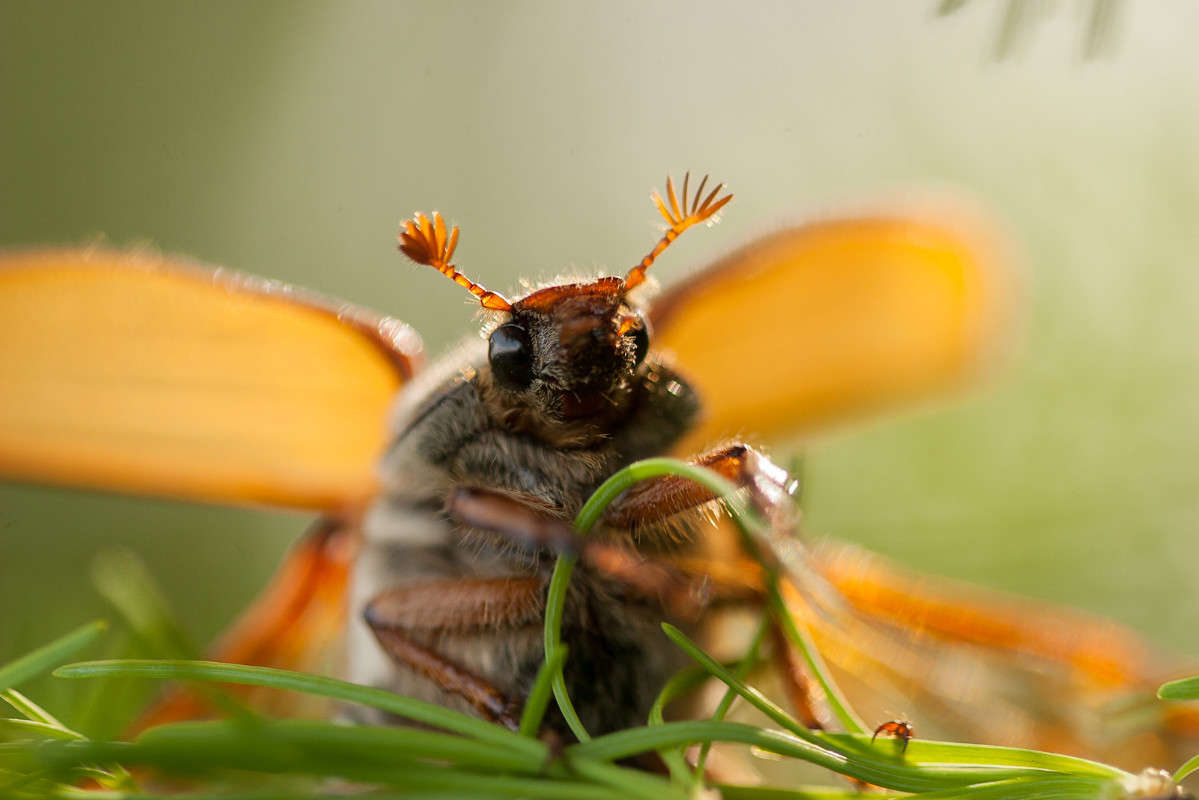 ... ����� ������� ���� �� PhotoGeek.ru #�����