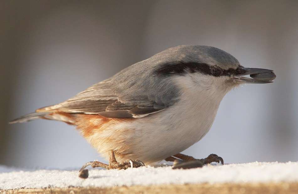 ... ����� ������� ���� �� PhotoGeek.ru #�������� ���