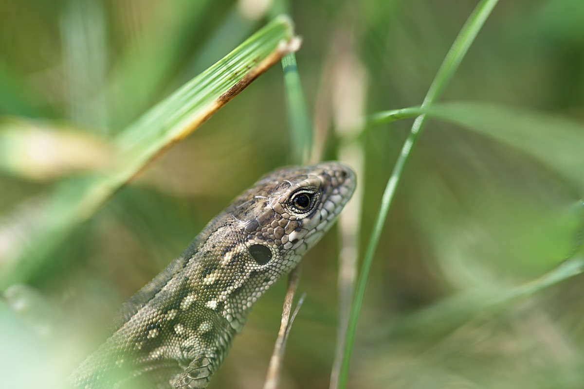 � �� �����, ����� ����� ������� ���� �� PhotoGeek.ru #����� #�������� ���