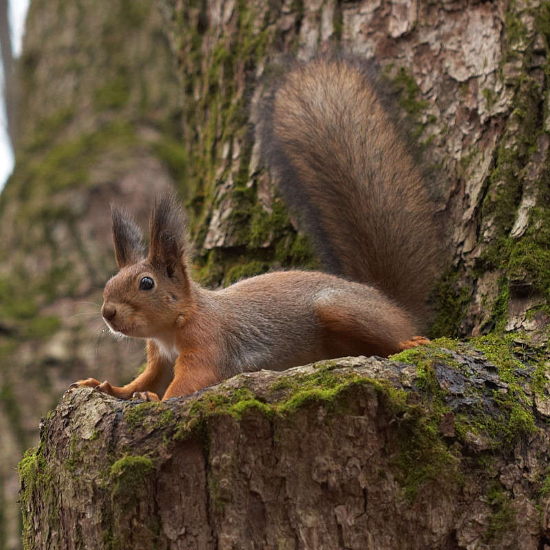 ... ����� ������� ���� �� PhotoGeek.ru #�������� ���