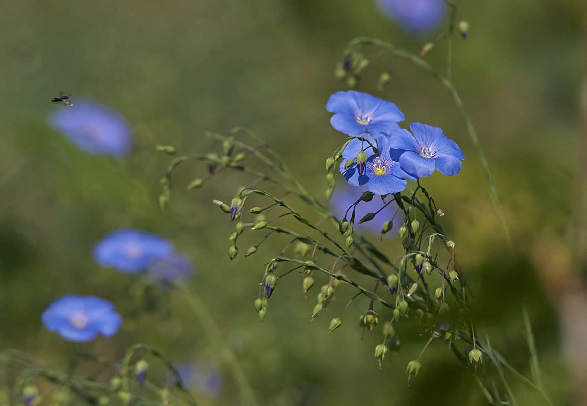 ... ����� ������� ���� �� PhotoGeek.ru #������ ��� �������