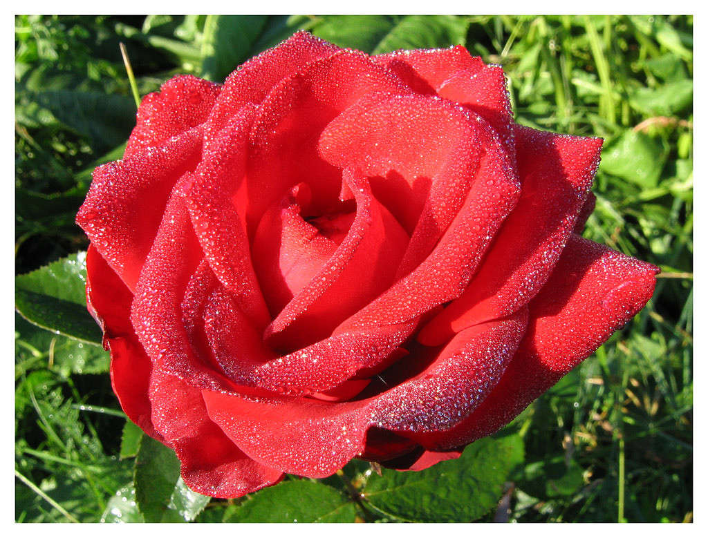 ... ����� ������� ���� �� PhotoGeek.ru #����� #������ ��� �������