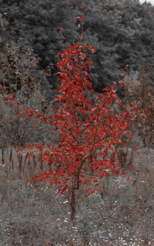 ... ����� ������� ���� �� PhotoGeek.ru #������ ��� �������