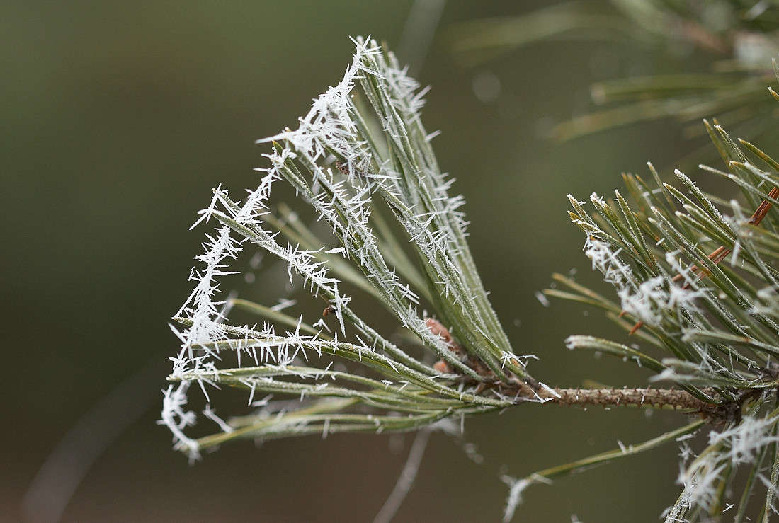 ... ����� ������� ���� �� PhotoGeek.ru #������ ��� �������