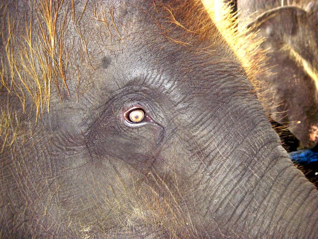 ����� ����� �����  ������� �� PhotoGeek.ru #�������� ��� #�������� #��������