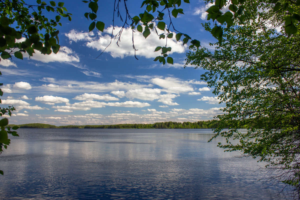 Озеро Боровое. Север Карелии автор Dasha  на PhotoGeek.ru #Пейзаж или природа #Озеро