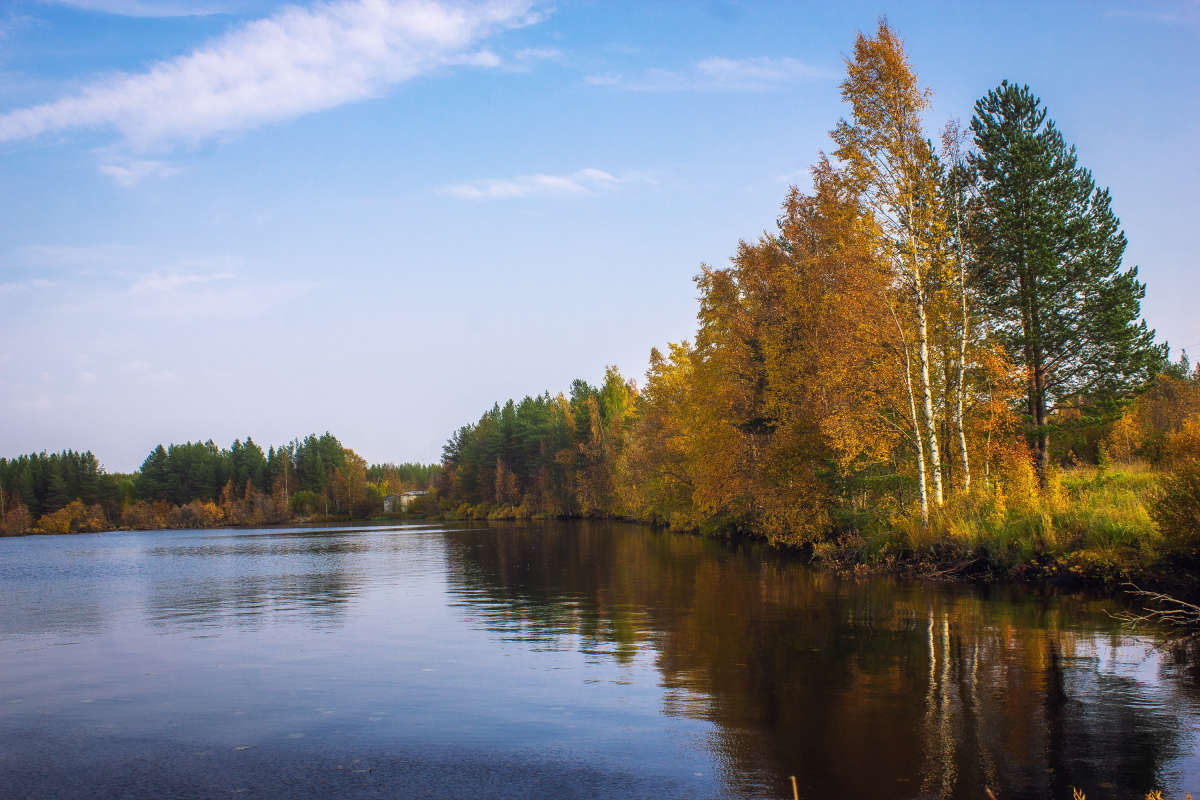 Осень автор Dasha  на PhotoGeek.ru #Пейзаж или природа #Озеро #Осень