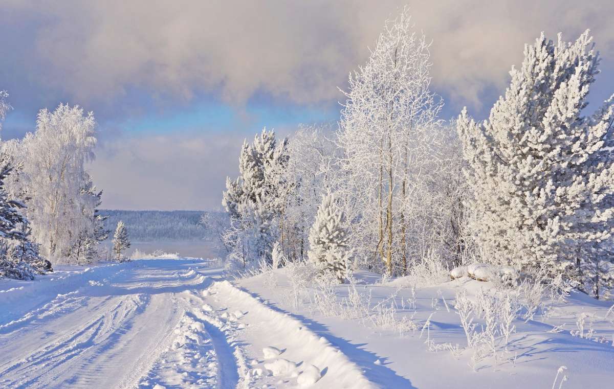 В мороз. автор галина подлопушная на PhotoGeek.ru #Пейзаж или природа