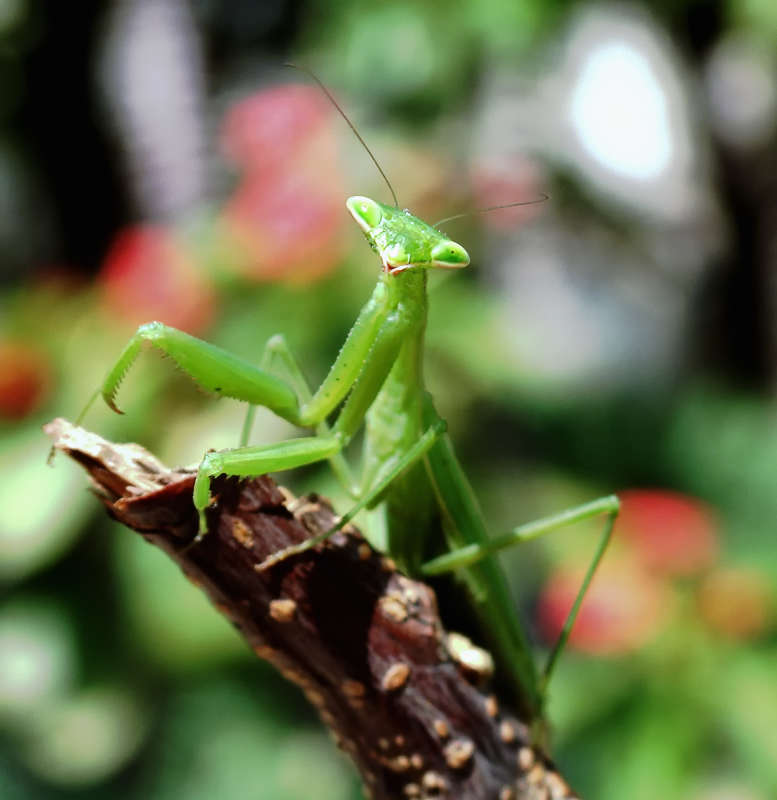 ������ ������� ����� ������� ��������� �� PhotoGeek.ru #����� #���������
