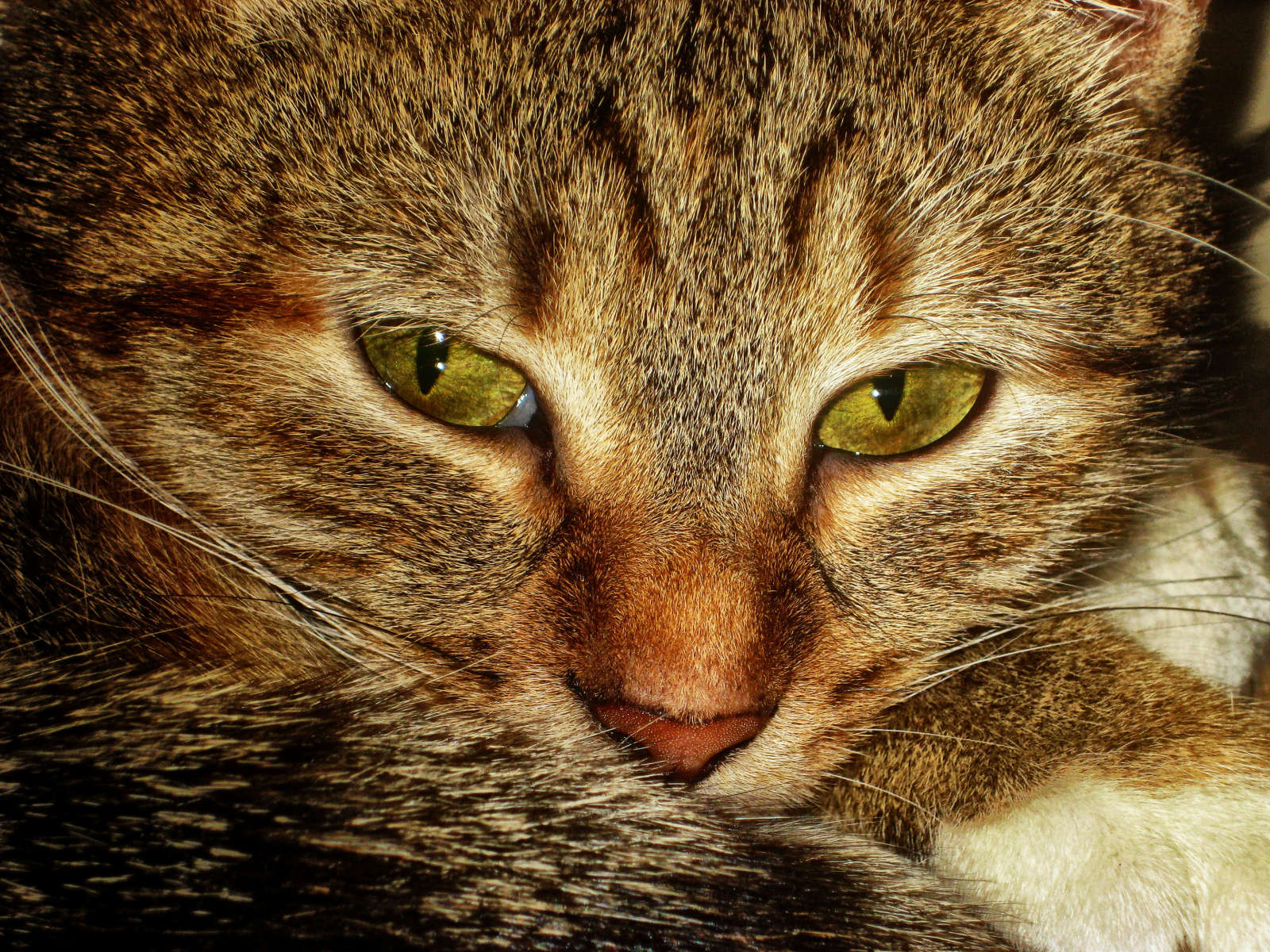 ������������ ����� ������� ��������� �� PhotoGeek.ru #�������� ���