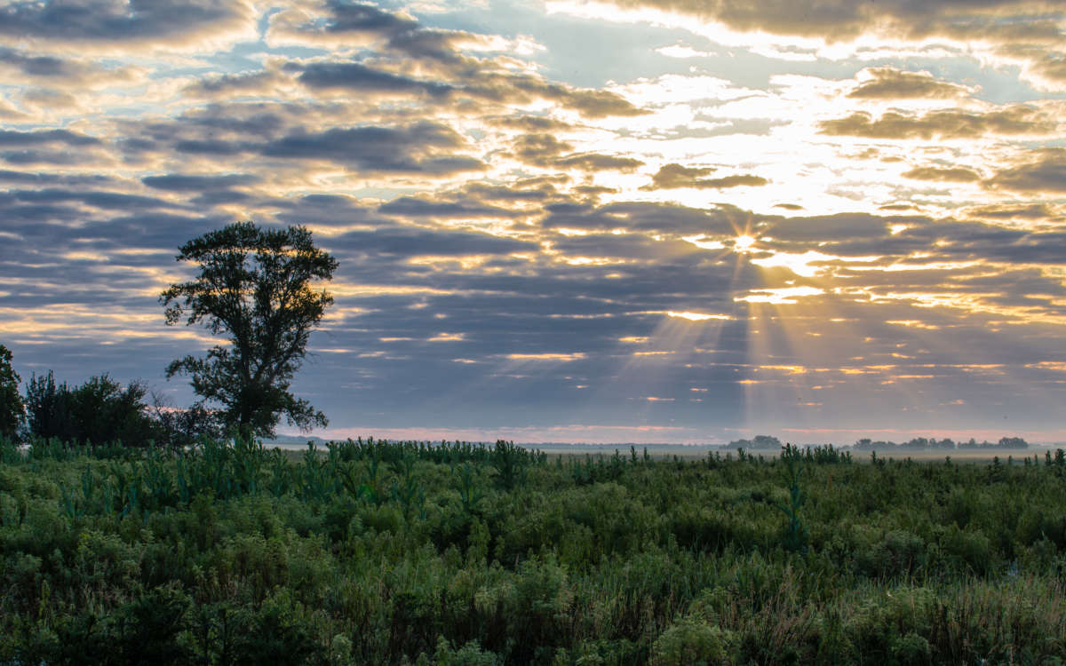 ������ ���� ������ ���� ��������... ����� ��������� ������� �� PhotoGeek.ru #������ ��� �������