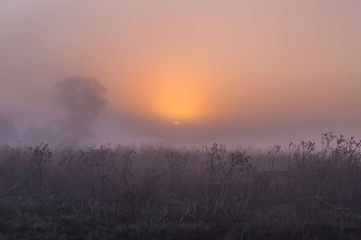 ����� ����� ��������� ������� �� PhotoGeek.ru #������ ��� �������