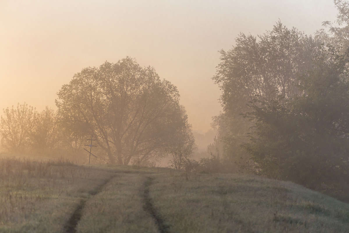 *** ����� ��������� ������� �� PhotoGeek.ru #������ ��� �������