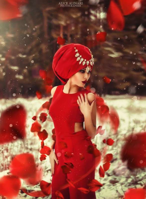 Роза автор AliceAlinari  на PhotoGeek.ru #Пейзаж или природа #Портрет #Alice alinari #Dream #Girl #Red #Snow #Winter #Девушка #Зима #Красное платье #Красный #Лепестки #Природа #Роза #Снег #Фото настроения