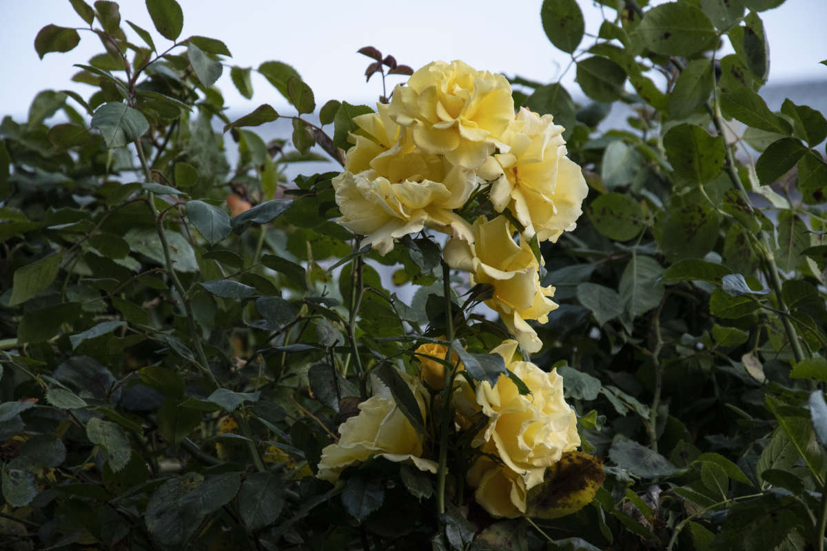 ��������� ���� ����� ������ �������� �� PhotoGeek.ru #������ ��� �������