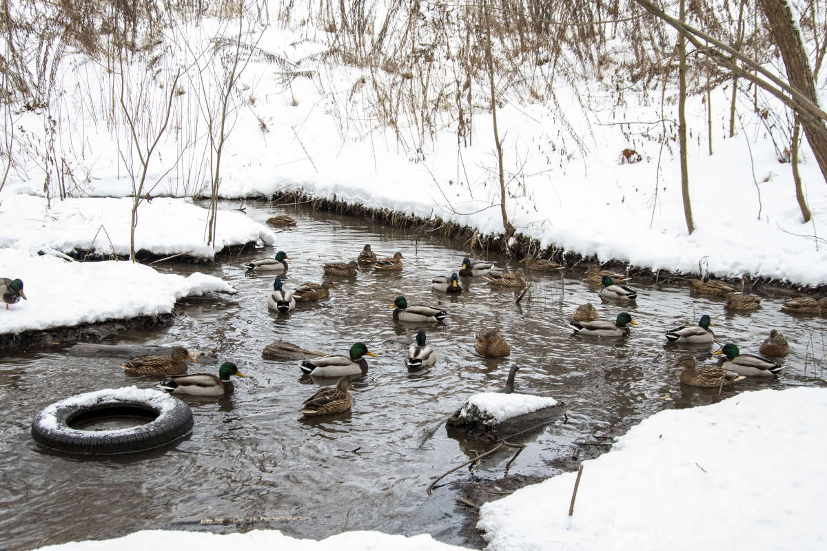 ������� � ����������� ����� ������ �������� �� PhotoGeek.ru #����� #������ ��� �������