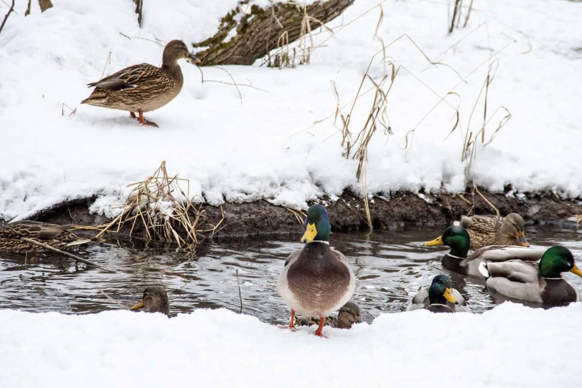 �������� ����� ������ �������� �� PhotoGeek.ru #����� #������ ��� �������