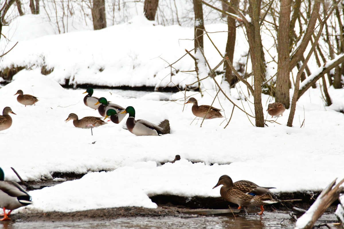 ...... ����� ������ �������� �� PhotoGeek.ru #����� #������ ��� �������