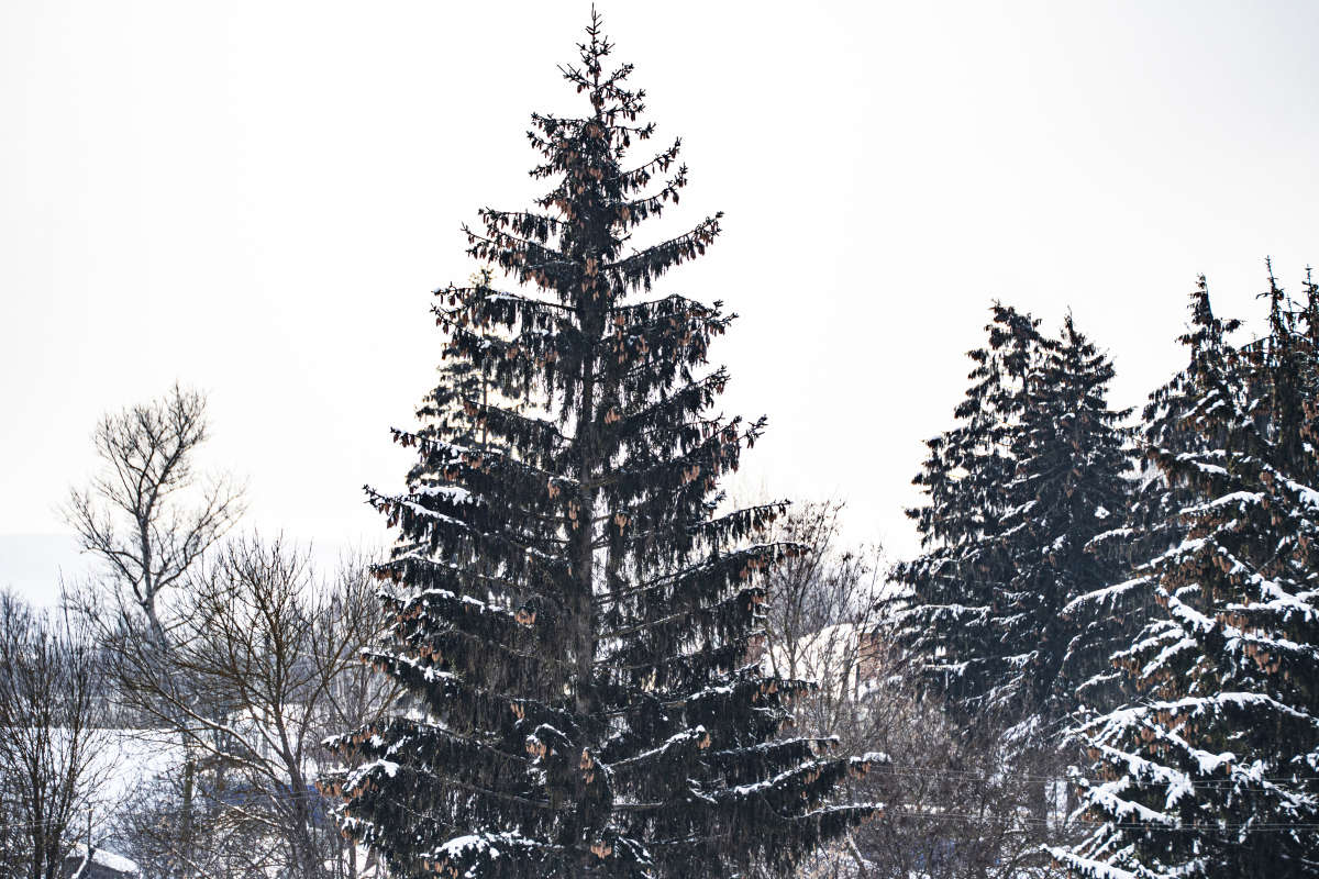 ������ ��������� ����� ������ �������� �� PhotoGeek.ru #������ ��� �������