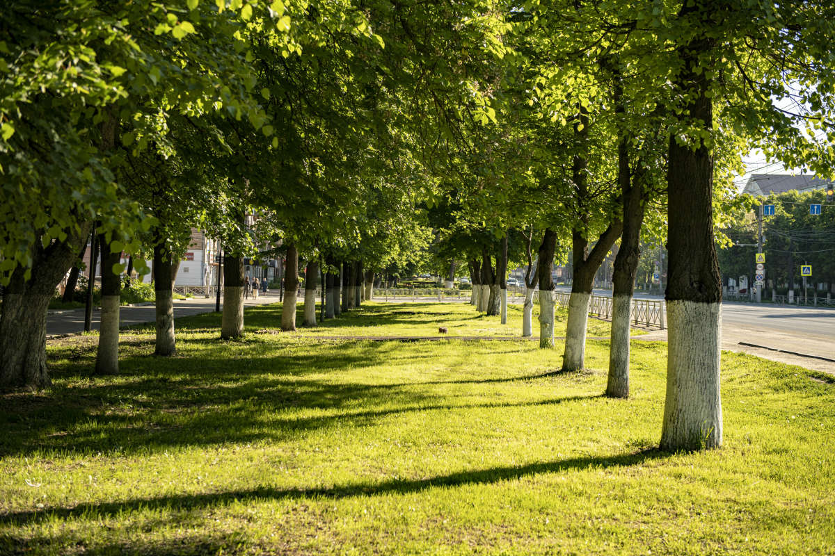 ���� � ������ ����� ������ �������� �� PhotoGeek.ru #����� #������ ��� �������