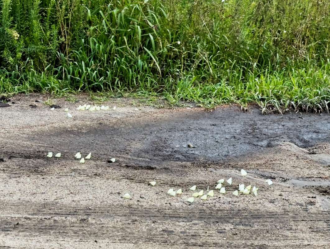 ������� ����� ������ �������� �� PhotoGeek.ru #�������� ���