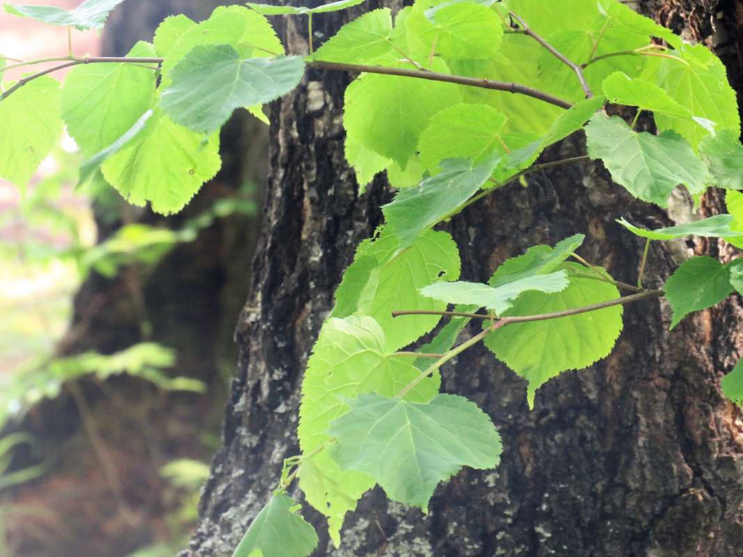 ... ����� ������ ����� �� PhotoGeek.ru #������ ��� �������