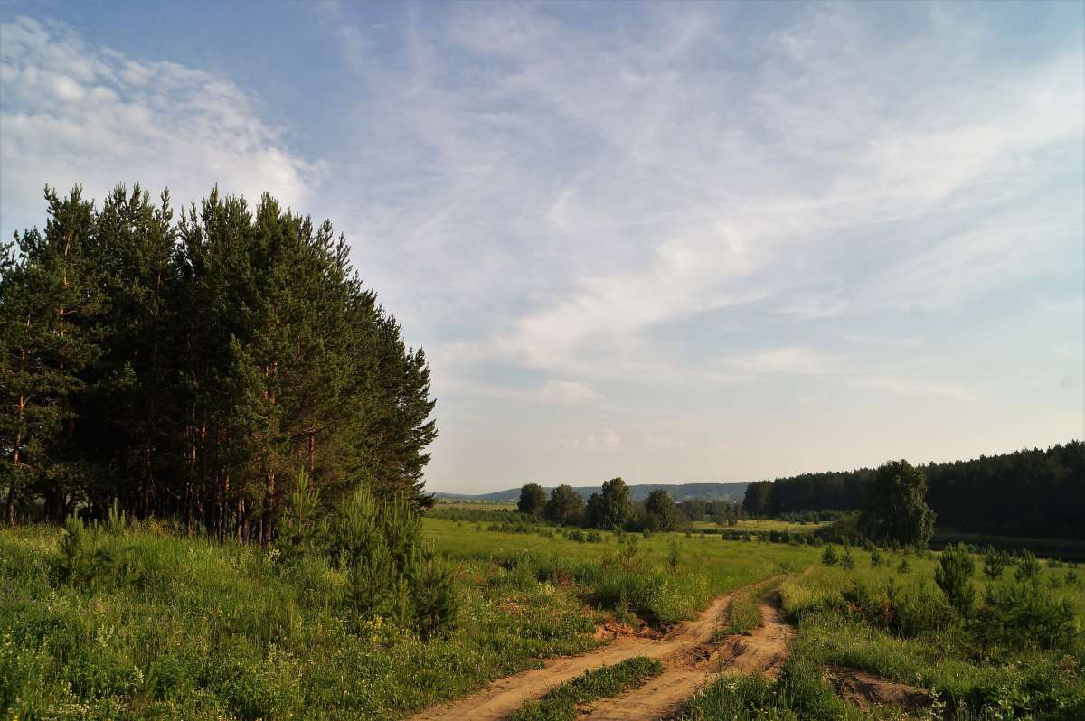 ... ����� ������ ����� �� PhotoGeek.ru #������ ��� �������