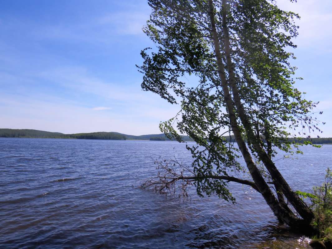 ... ����� ������ ����� �� PhotoGeek.ru #������ ��� �������