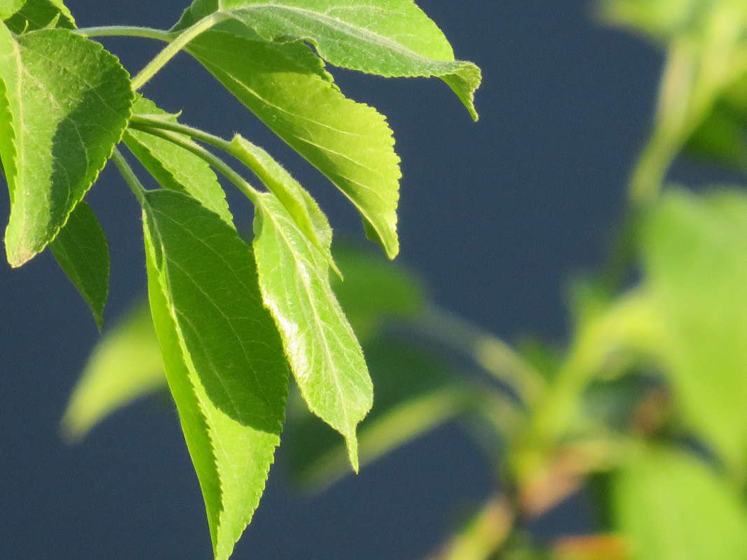 ... ����� ������ ����� �� PhotoGeek.ru #������ ��� �������