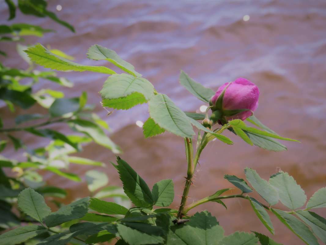 ... ����� ������ ����� �� PhotoGeek.ru #������ ��� �������