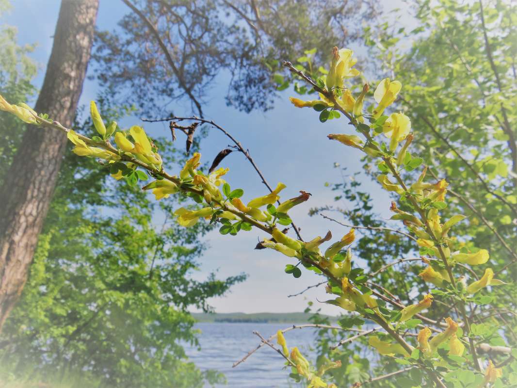 ... ����� ������ ����� �� PhotoGeek.ru #������ ��� �������