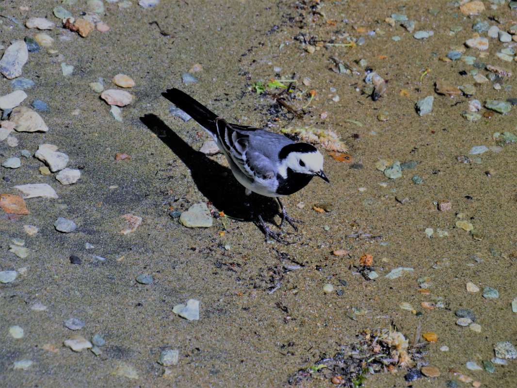 ... ����� ������ ����� �� PhotoGeek.ru #������ ��� �������