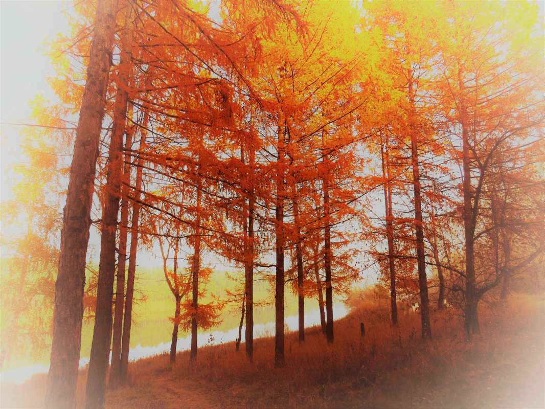 ... ����� ������ ����� �� PhotoGeek.ru #������ ��� �������