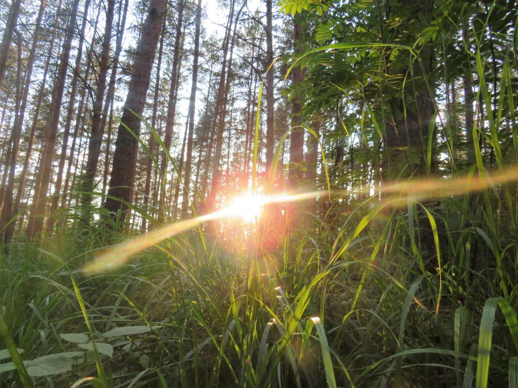 ... ����� ������ ����� �� PhotoGeek.ru #������ ��� �������