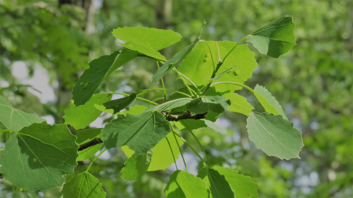 ... ����� ������ ����� �� PhotoGeek.ru #������ ��� �������