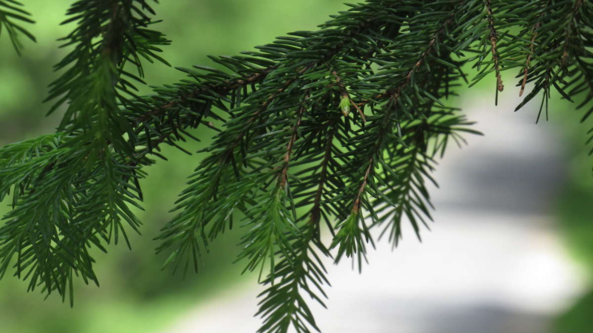 ... ����� ������ ����� �� PhotoGeek.ru #������ ��� �������