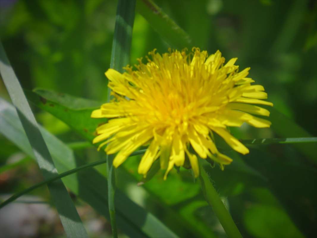 ... ����� ������ ����� �� PhotoGeek.ru #������ ��� �������