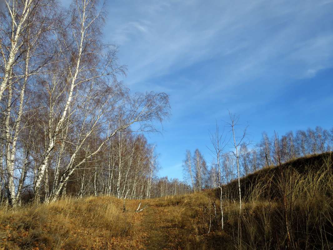 ... ����� ������ ����� �� PhotoGeek.ru #������ ��� �������