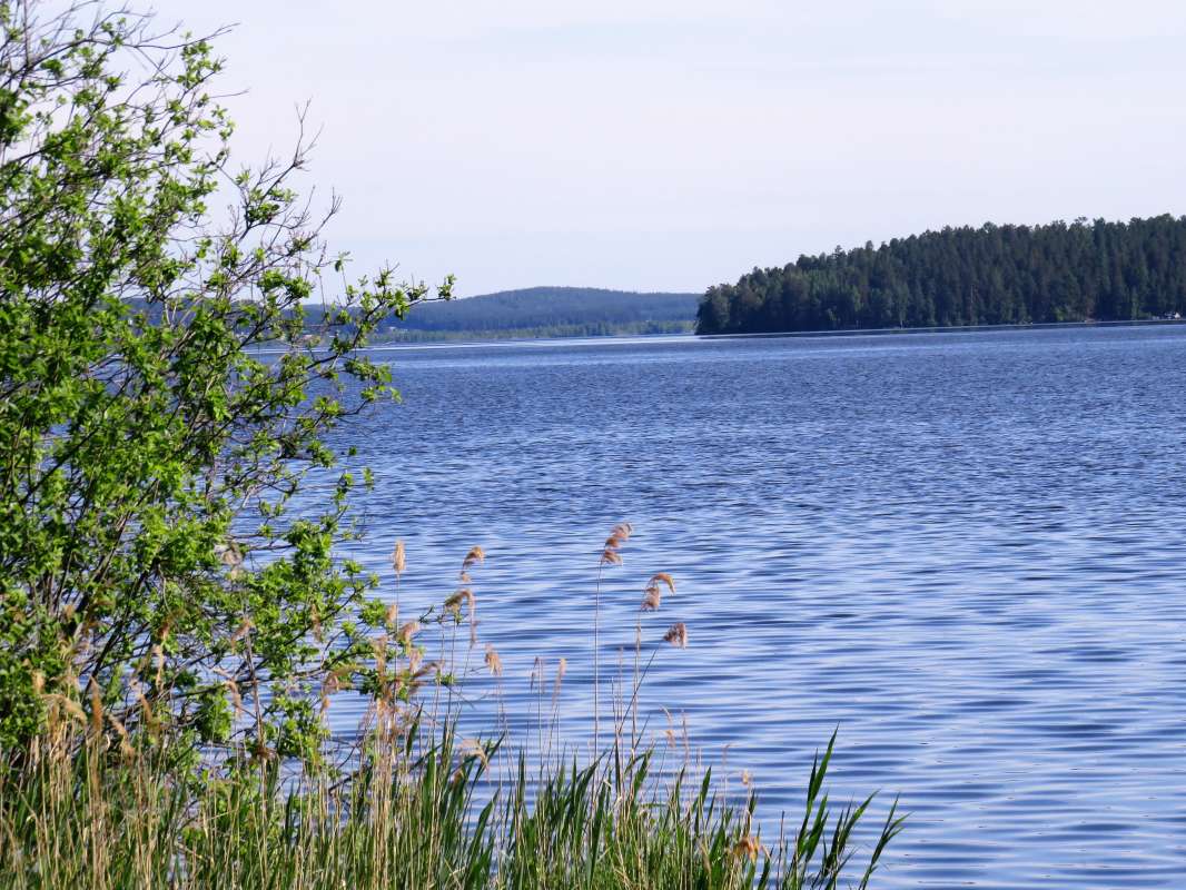 ... ����� ������ ����� �� PhotoGeek.ru #������ ��� �������