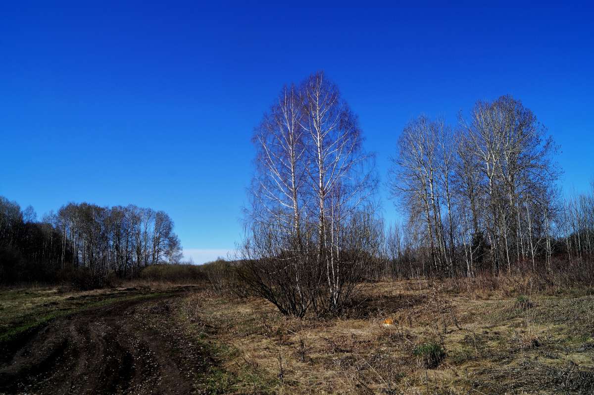 ... ����� ������ ����� �� PhotoGeek.ru #������ ��� �������