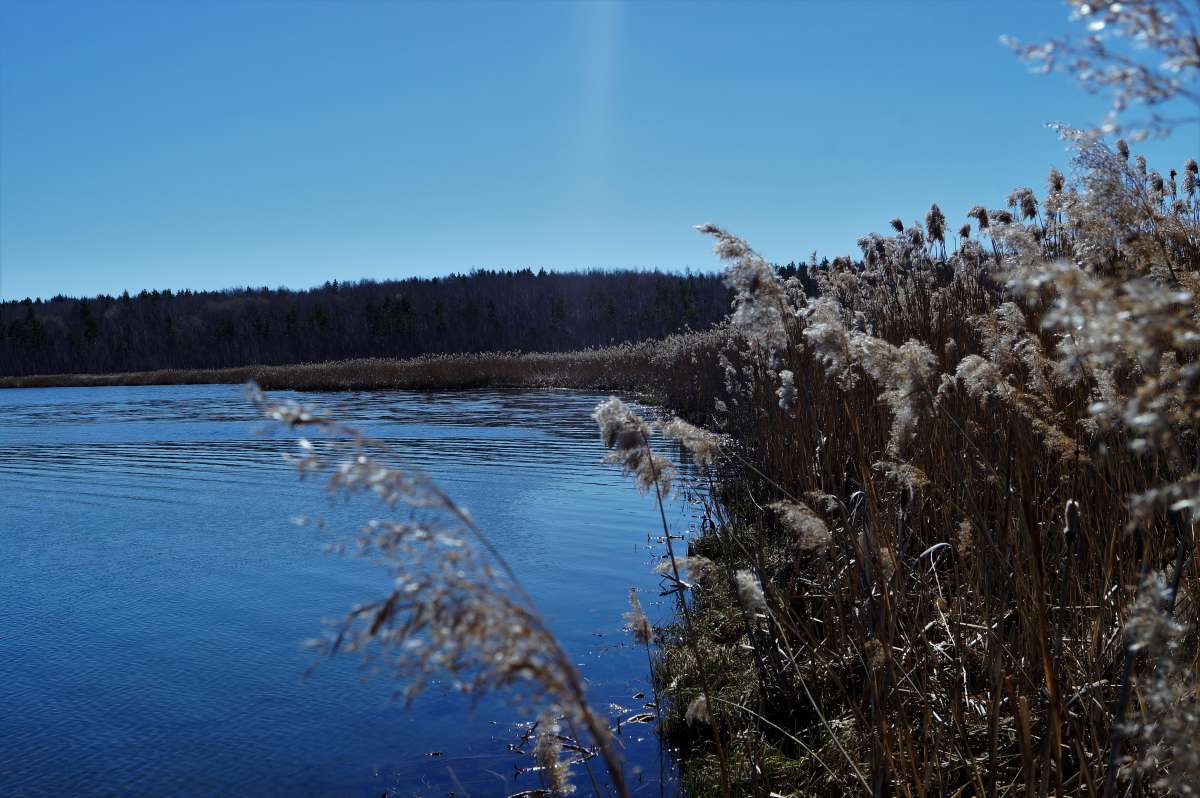 ... ����� ������ ����� �� PhotoGeek.ru #������ ��� �������