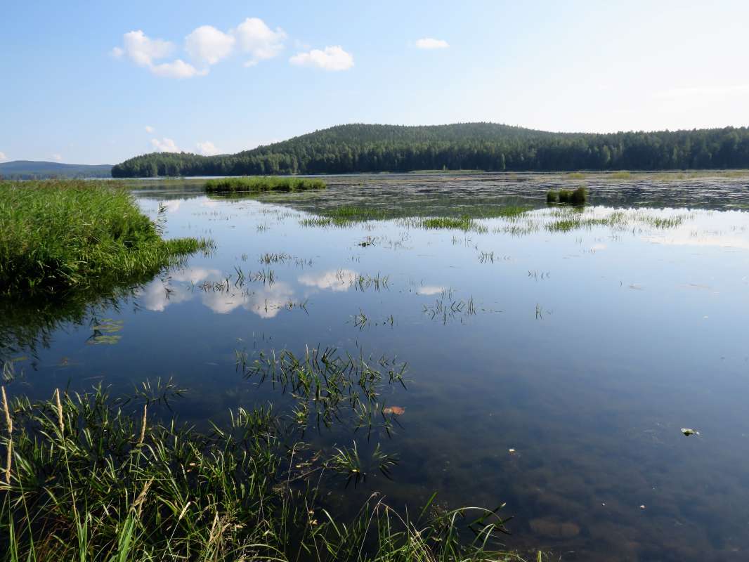 ... ����� ������ ����� �� PhotoGeek.ru #������ ��� �������